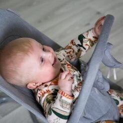 Red Kite Bouncer Baya - Grey -Baby Products Store 43f02f 8bbcc90b73c74c36b10a748ca303b995 mv2