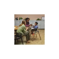 Bugaboo Giraffe Highchair + Newborn Set - Wood/Grey -Baby Products Store bugaboo giraffe chair warm wood grey x 200001012 03